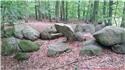Veranstaltungsbild Exkursion"Lebensraum Gattberg"